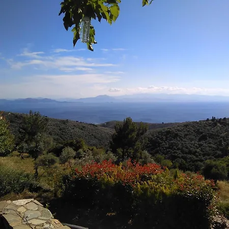 House Afetes * Afétai