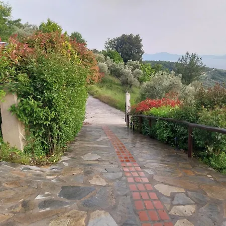 度假居 House Afetes