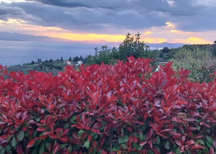 House Afetes * Afétai