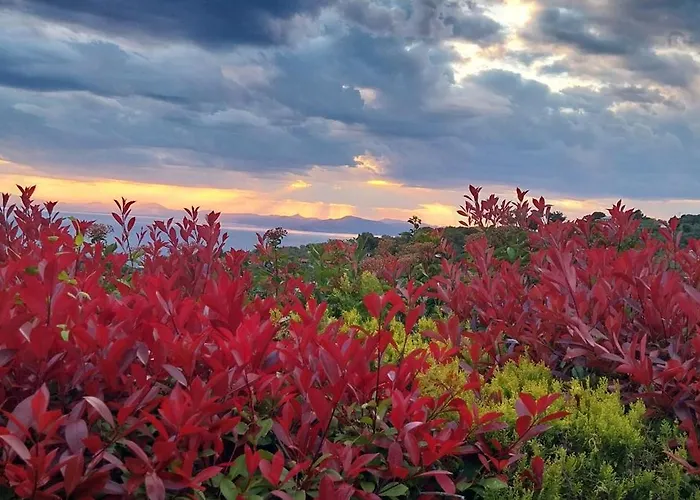 Hébergement de vacances House Afetes *